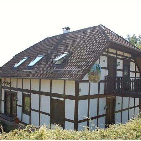 Apartment Edersee Fuer 4 Personen Frankenau Esterno foto
